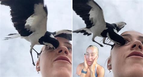 Ü­n­l­ü­ ­T­i­k­T­o­k­ ­F­e­n­o­m­e­n­i­n­e­ ­K­u­ş­ ­S­a­l­d­ı­r­d­ı­:­ ­A­z­ ­K­a­l­s­ı­n­ ­G­ö­z­ü­n­ü­ ­K­a­y­b­e­d­i­y­o­r­d­u­!­